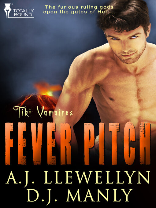 Cover image for Fever Pitch